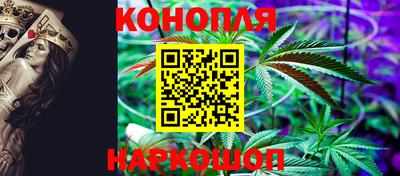 mdpv Кандалакша