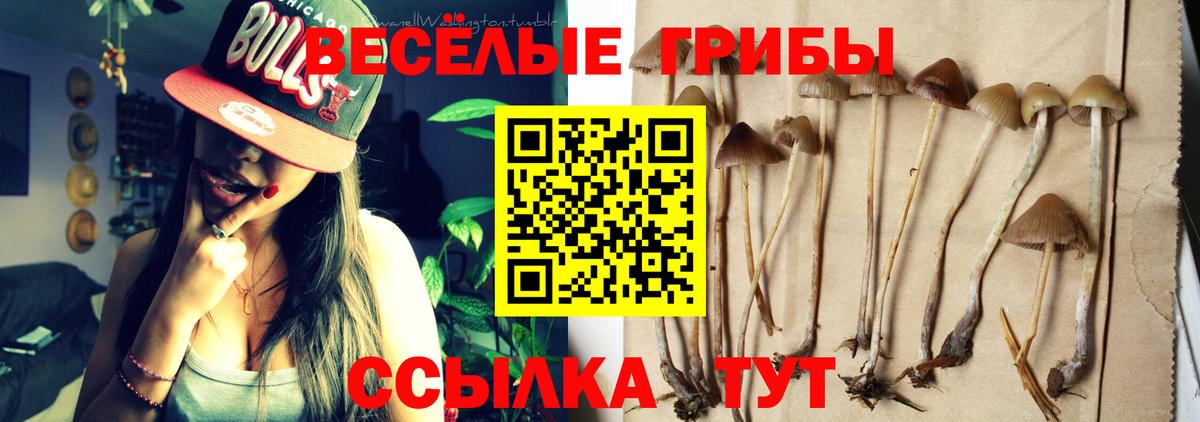 Псилоцибиновые грибы ЛСД  Вход с VPN  наркошоп  Дальнереченск 